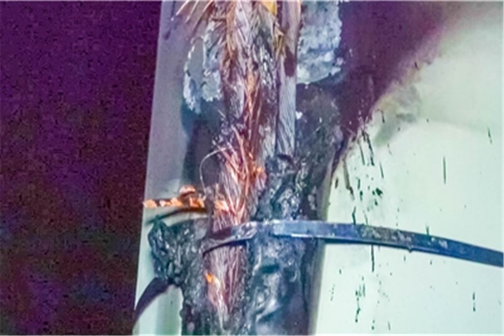 Die brennenden Stromleitungen. Foto: Einsatz-Report24