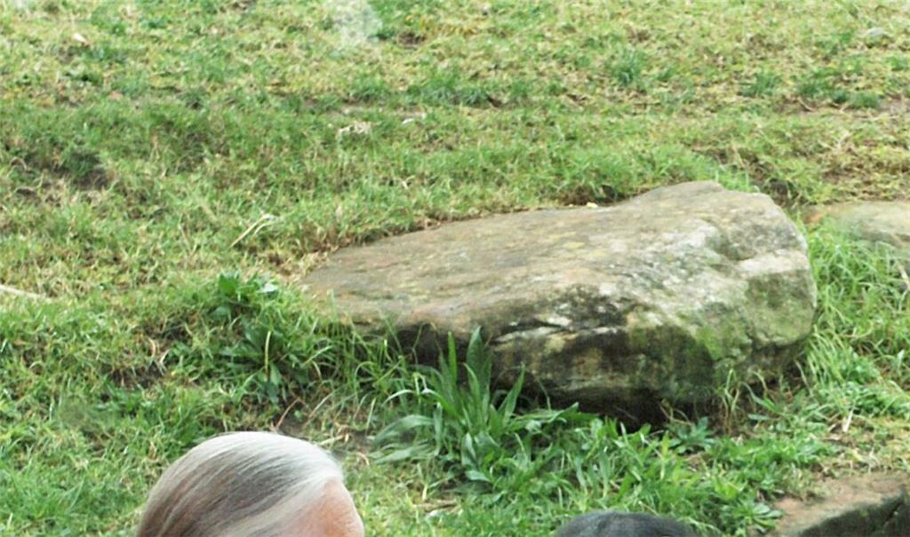 Die britische Ethnologin Jane Goodall traf sich mit Schimpansen im Taronga Zoo. (Archivbild)