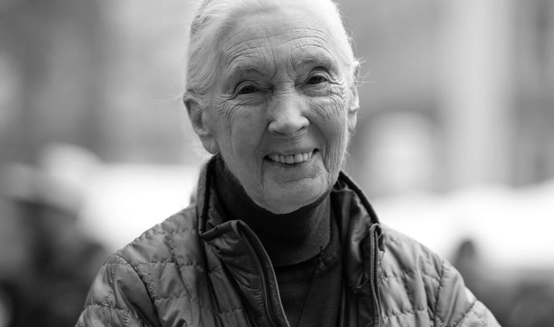 Britische Schimpansen-Forscherin Jane Goodall tot Die britische Schimpansen-Forscherin und Umwelt-Aktivistin Jane Goodall ist tot.