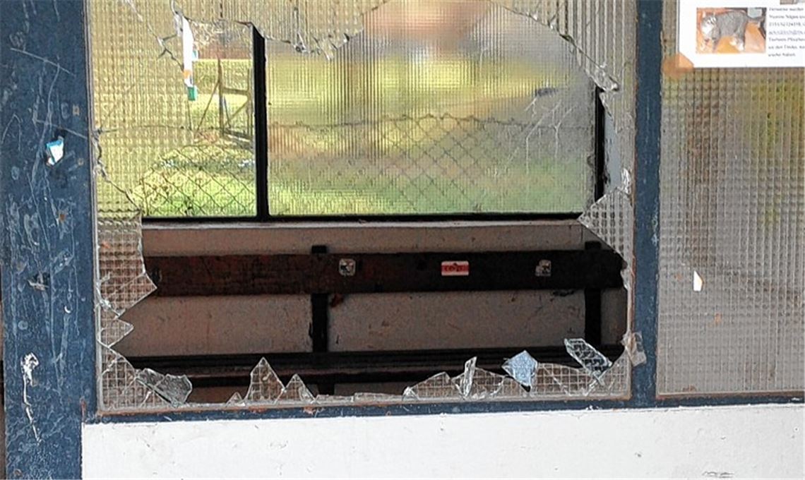 Die eingeschlagene Scheibe.