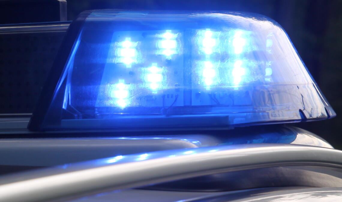 Die entlaufenen Hunde werden von Beamten der Polizeihundeführerstaffel zusammengetrieben und teilweise auch unter Einsatz von Pfefferspray unter Kontrolle gebracht. Symbolfoto: Archiv/Disselhoff