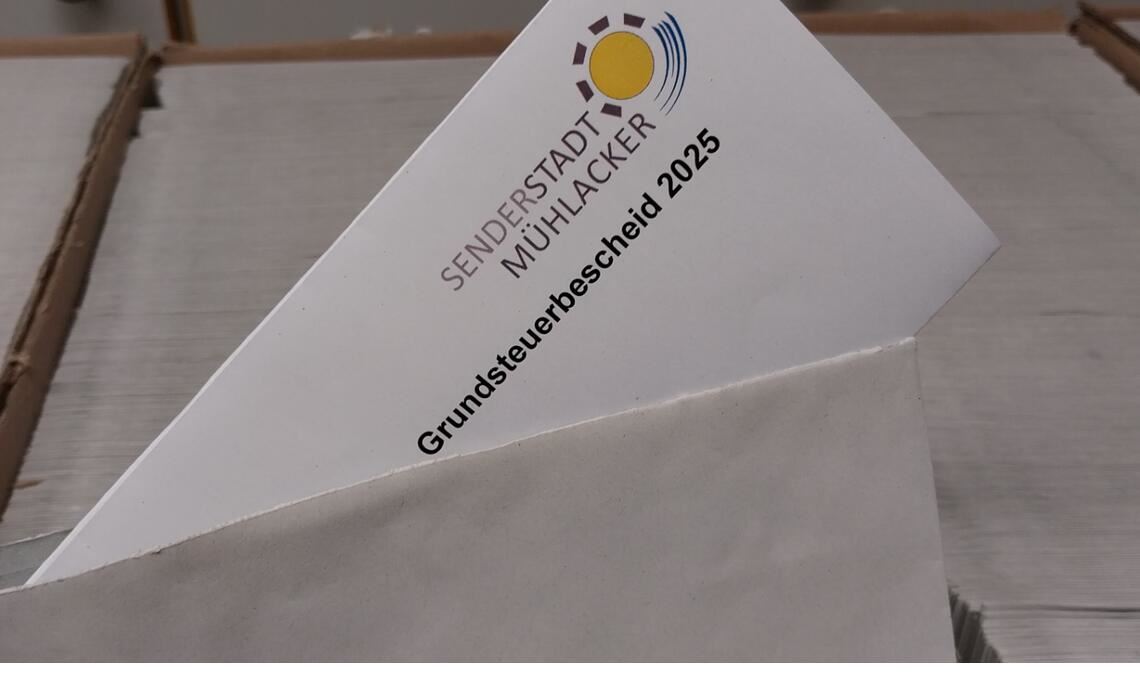 Die erste Rate der neuen Grundsteuer wird laut Stadtverwaltung am 15. Februar fällig. Foto: Stadt Mühlacker