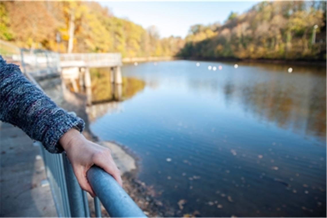 Die erste Saison als öffentlicher Badesee ist gelaufen. Jetzt finden am Tiefen See in Maulbronn Um- und Rückbaumaßnahmen statt. Foto: Fotomoment