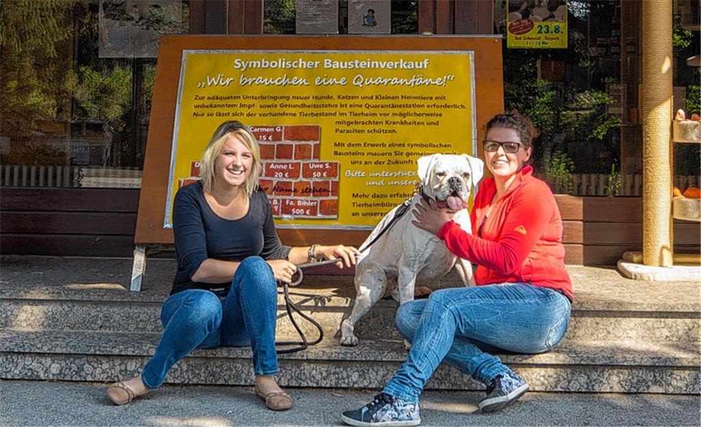 Ein Traumberuf fürs Leben