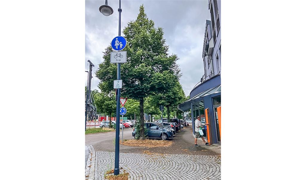 Die geplante Fällung der Bäume am Dürrmenzer Marktplatz stößt laut einer Mitteilung der Freien Wähler auf Kritik. Foto: privat