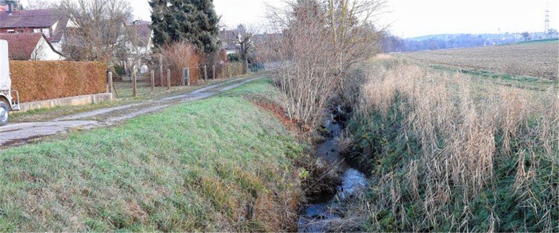 Wenn der Erlenbach sein Bett verlässt Wenn der Erlenbach sein Bett verlässt