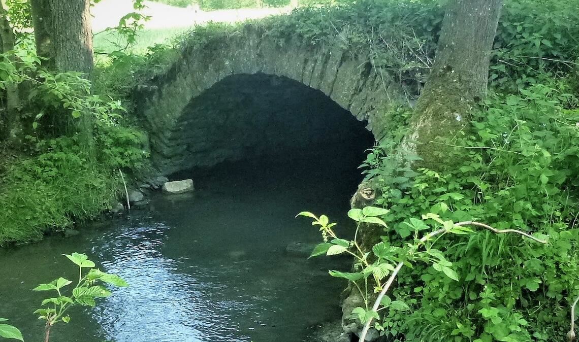 Die historische Brücke über den Kreuzbach steht unter Denkmalschutz. Sie sackt in sich zusammen. Noch nicht einmal Wanderer können sie nutzen. Fotos: privat