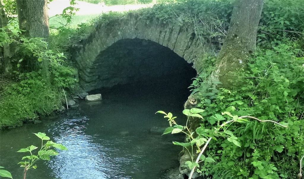Die historische Brücke über den Kreuzbach steht unter Denkmalschutz. Sie sackt in sich zusammen. Noch nicht einmal Wanderer können sie nutzen. Fotos: privat