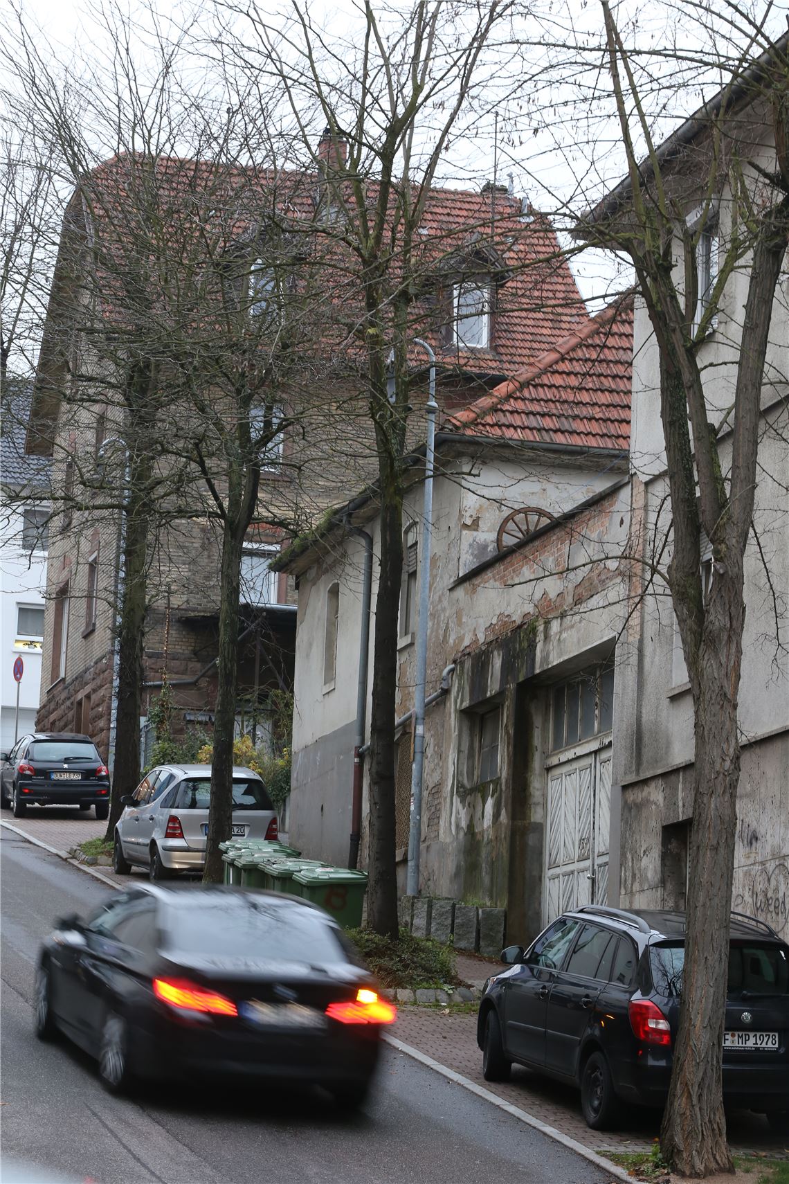 lh Gleditschie Innenstadt (5)