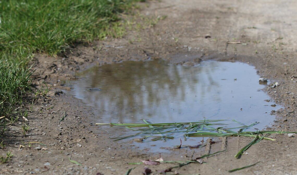 Die jüngsten Niederschläge hinterlassen nicht nur Spuren auf den Feldwegen – auch die Äcker können, wenn es zu morastig ist, nicht bewirtschaftet werden. Foto: Disselhoff