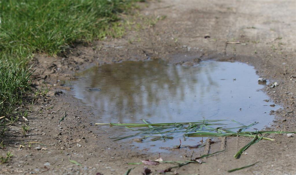 Die jüngsten Niederschläge hinterlassen nicht nur Spuren auf den Feldwegen – auch die Äcker können, wenn es zu morastig ist, nicht bewirtschaftet werden. Foto: Disselhoff