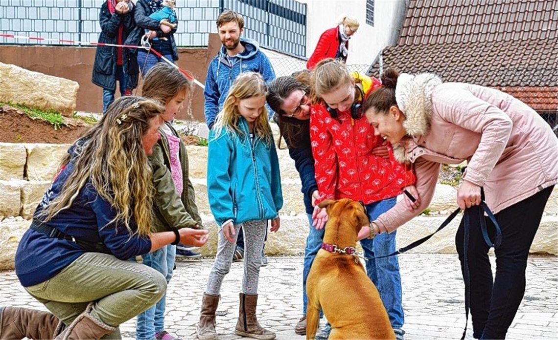 Besuch macht tierisch Freude Besuch macht tierisch Freude
