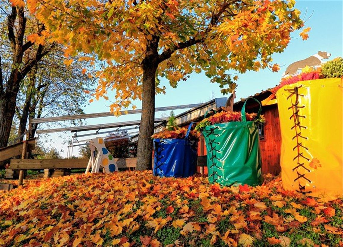 Laub macht der Stadt mächtig Arbeit