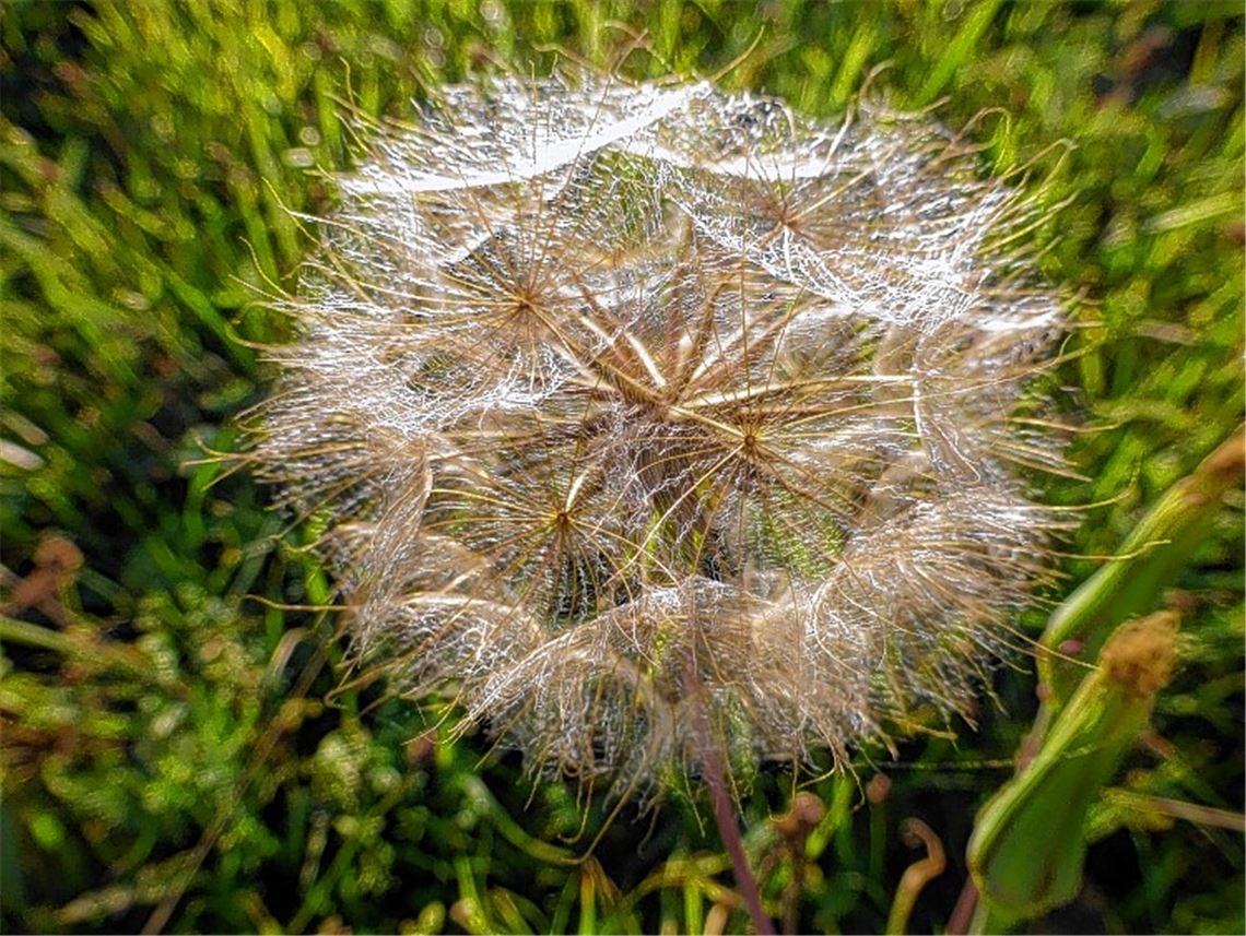Herbstfarben