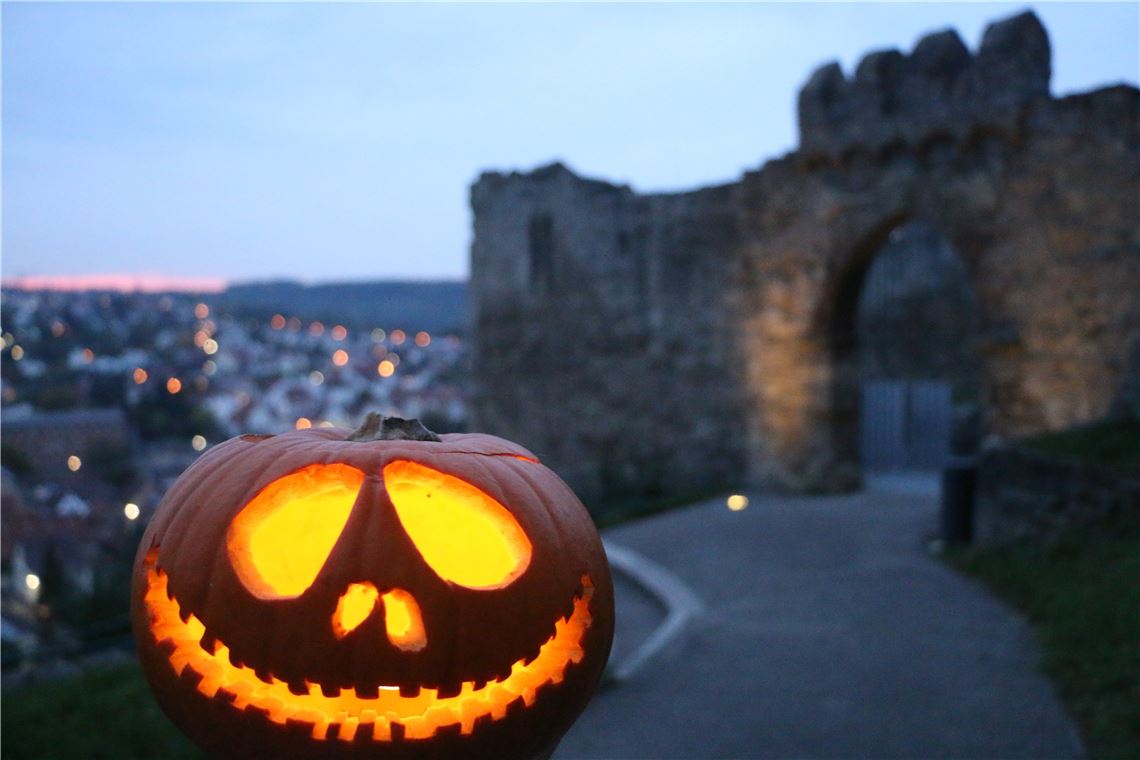 910_0008_182202_joy_kuerbis_burg_loeffelstelz_2_