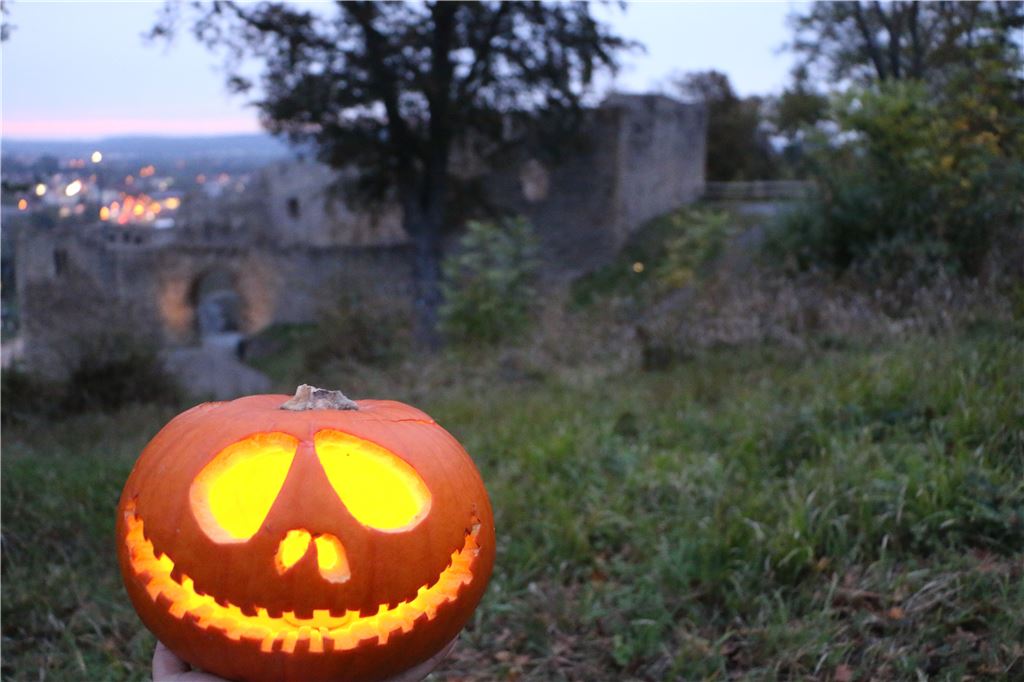 910_0008_182201_joy_kuerbis_burg_loeffelstelz_1_