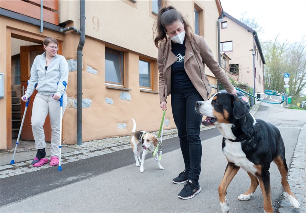 Die nach einem Unfall verletzte Hundehalterin Lea Dittrich und Helferin Lara Haßlacher mit den Vierbeinern Lotta und Chewie.Foto: Fotomoment