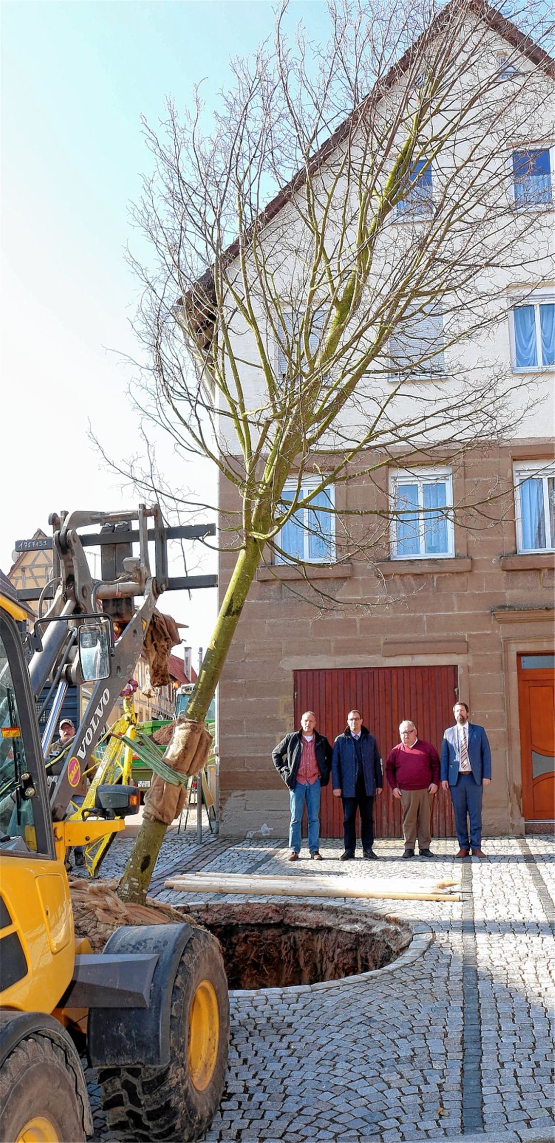 Neue Linde soll Frieden stiften