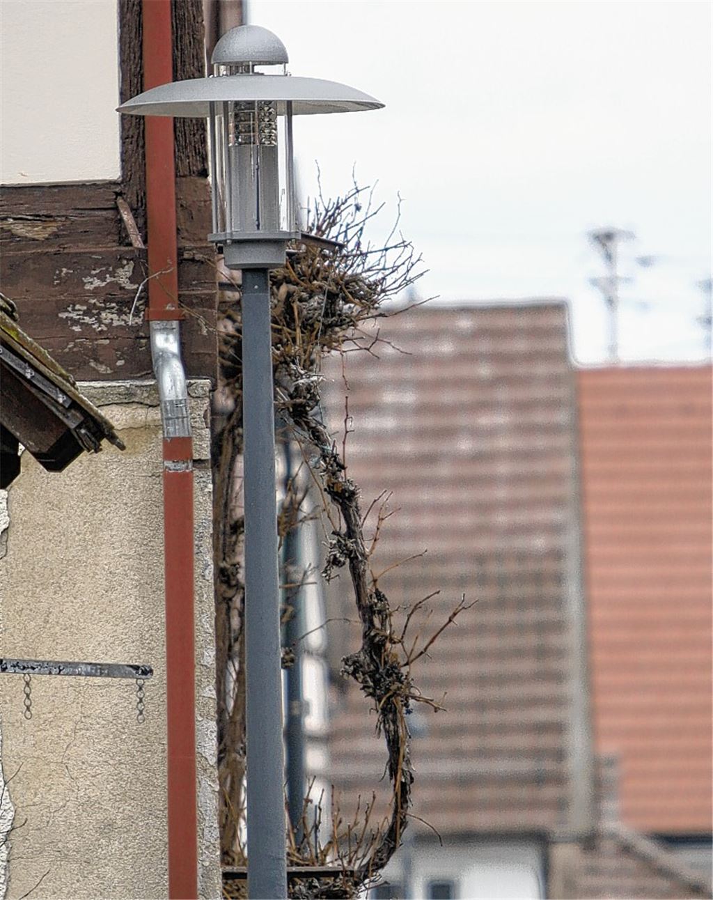 Die neuen Schützinger LED-Laternen gefallen nicht allen Bürgern. Archivfoto: Disselhoff