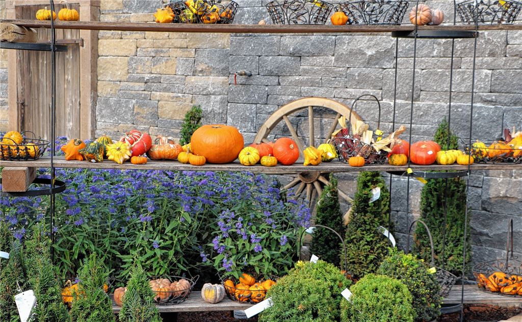 Gut vorbereitet in die herbstliche Saison