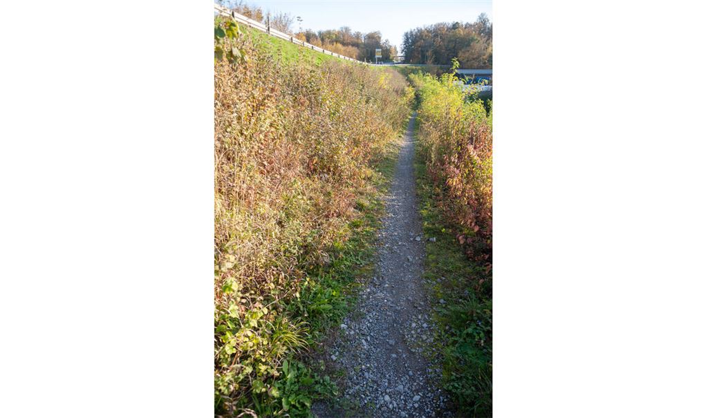 Die schmale Berg- und Tal-Schotterpiste neben der Osttangente soll im Zuge des Ausbaus in einen echten Radweg mit Asphaltbelag verwandelt werden. Foto: Fotomoment