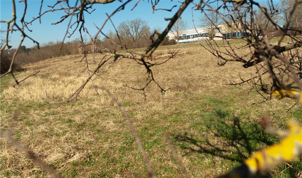 Die schöne Lage am Südhang hat ihren Preis: Blick auf die künftigen Bauplätze unterhalb der Hartfeldschule am westlichen Ortsrand von Enzberg. Foto: Fotomoment