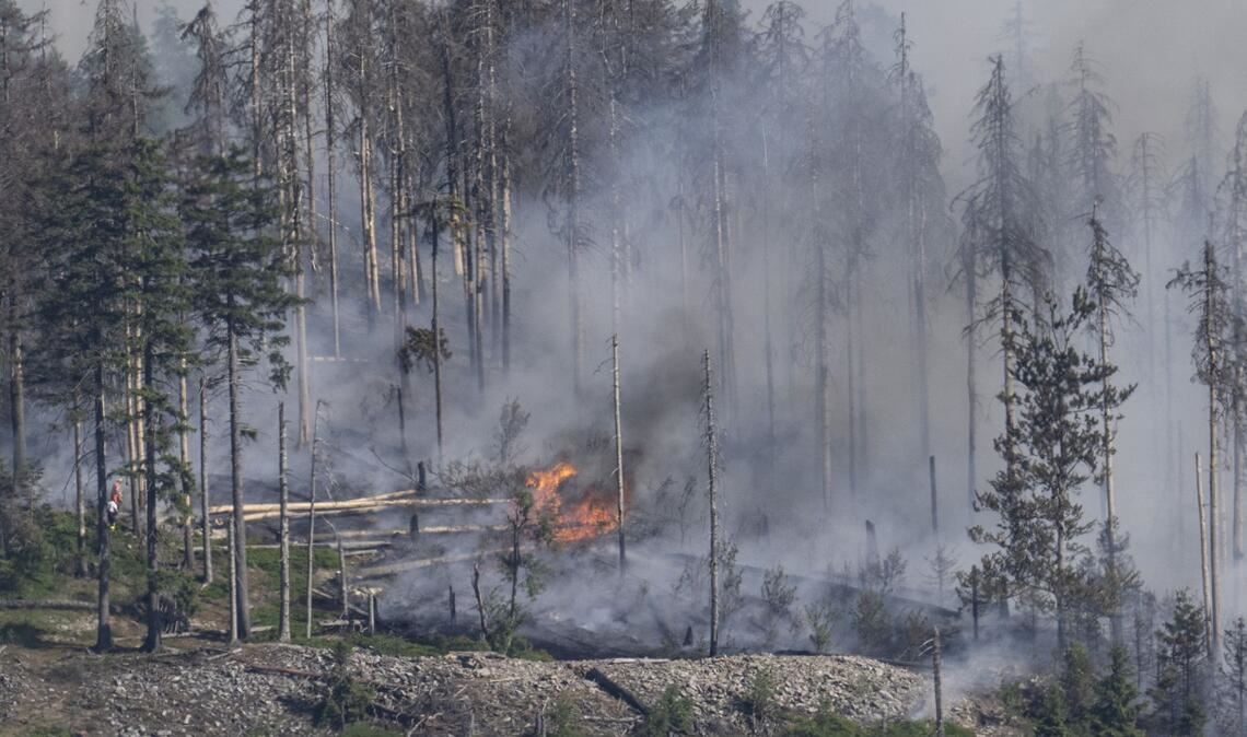 Die steigende Waldbrandgefahr könnte auch Folgen für Ausflügler am 1. Mai haben (Symbolbild).