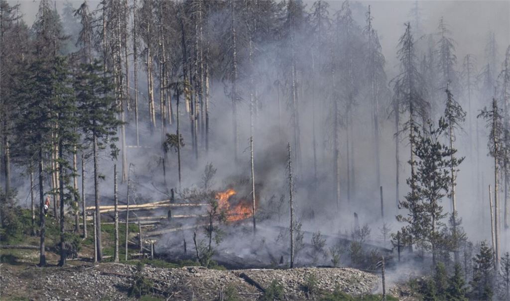 Die steigende Waldbrandgefahr könnte auch Folgen für Ausflügler am 1. Mai haben (Symbolbild).