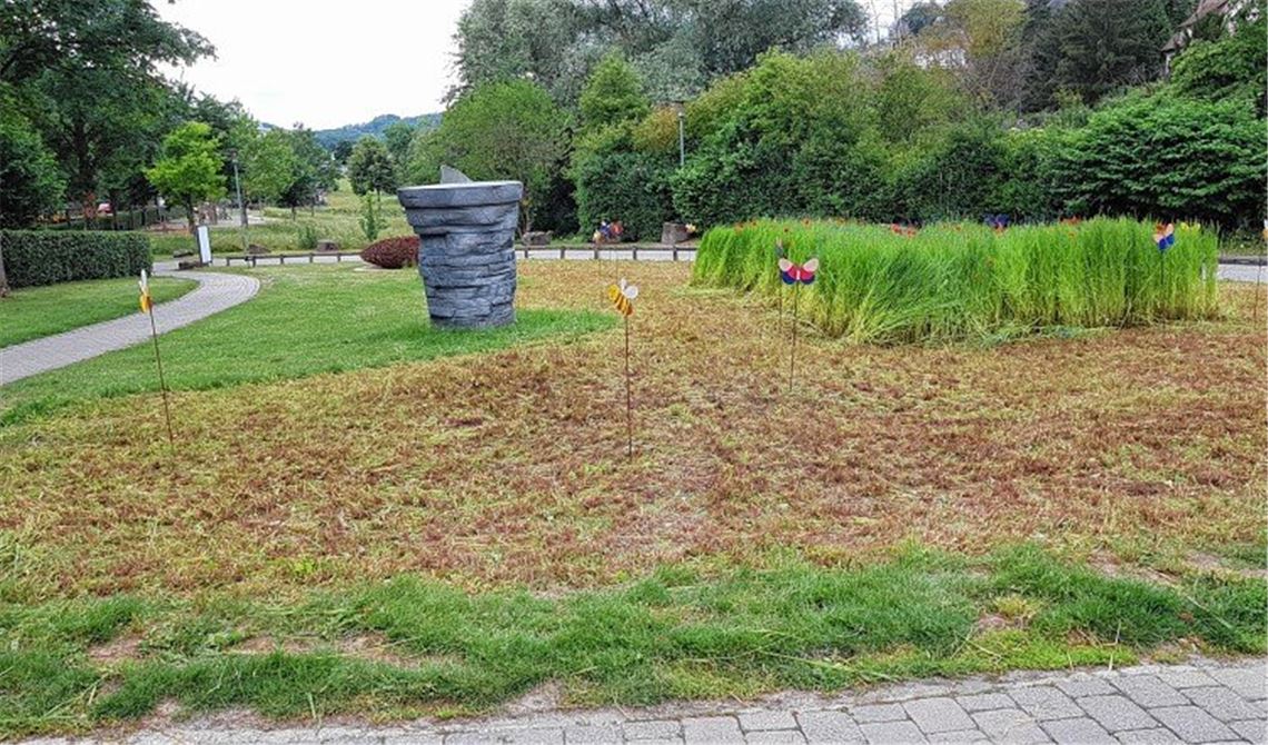 Mäharbeiten lösen Irritationen aus