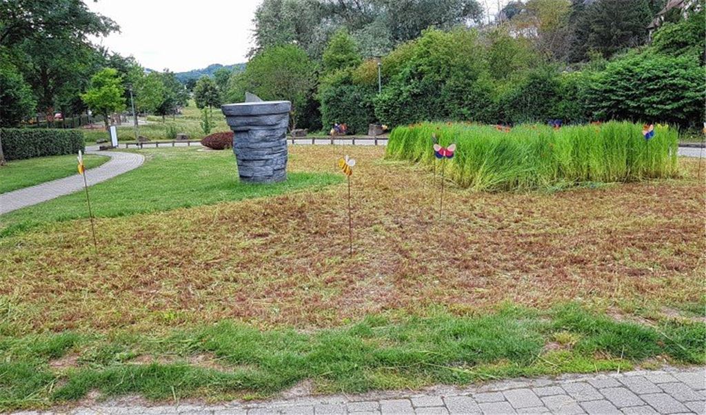 Mäharbeiten lösen Irritationen aus