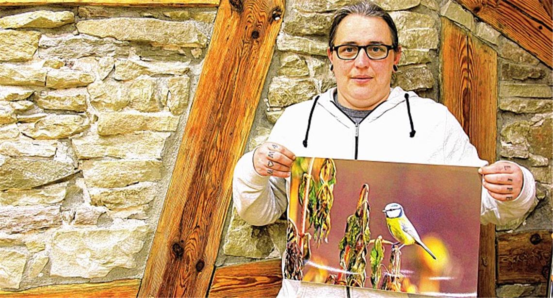 Die wunderbare Welt der Tiere