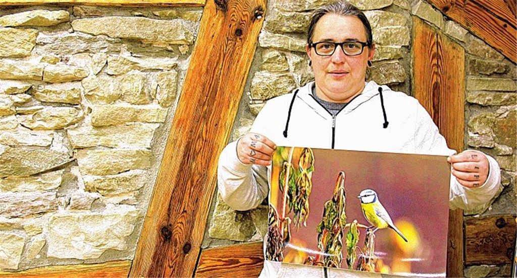 Die wunderbare Welt der Tiere