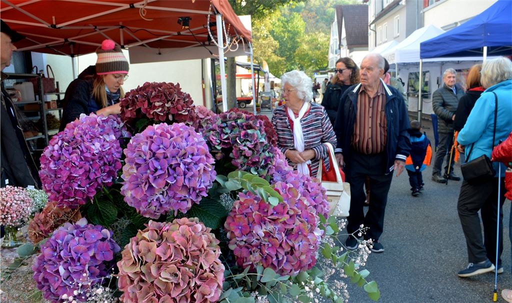 Die zahlreichen Besucher erfreuen sich am bunten Angebot und am sonnigen Wetter. An Hinguckern wie hier – arrangiert vom Blumenhaus Rudolf – fehlt es nicht. Fotos: Stahlfeld