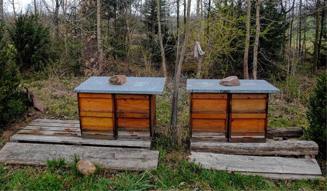 Diebstahl macht Züchter aus Schmie fassungslos: Kurz vor dem großen Blühen entwenden Langfinger drei Bienenkästen am Maulbronner Hamberg im Wert von insgesamt 600 Euro. 