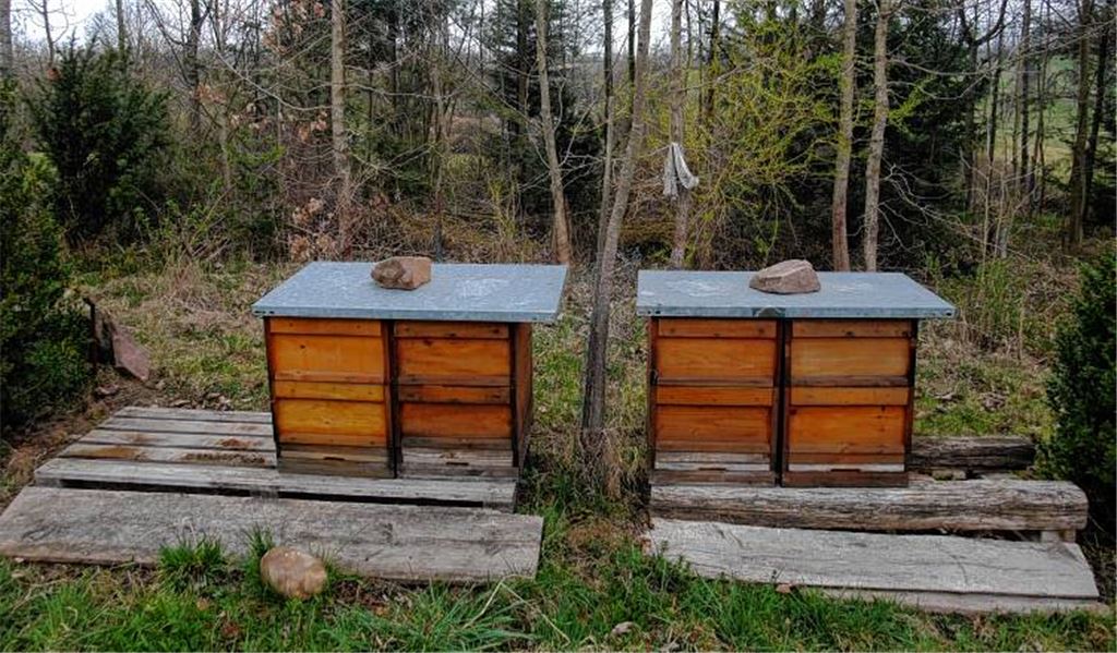 Diebstahl macht Züchter aus Schmie fassungslos: Kurz vor dem großen Blühen entwenden Langfinger drei Bienenkästen am Maulbronner Hamberg im Wert von insgesamt 600 Euro. 