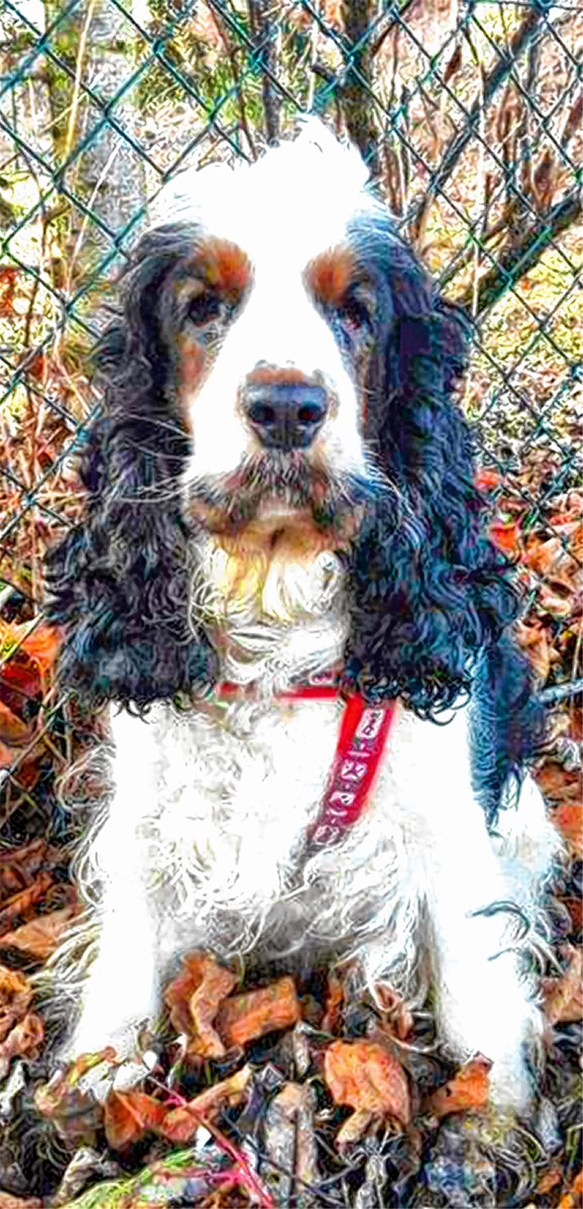 Lotta wartet auf ihr Happy End