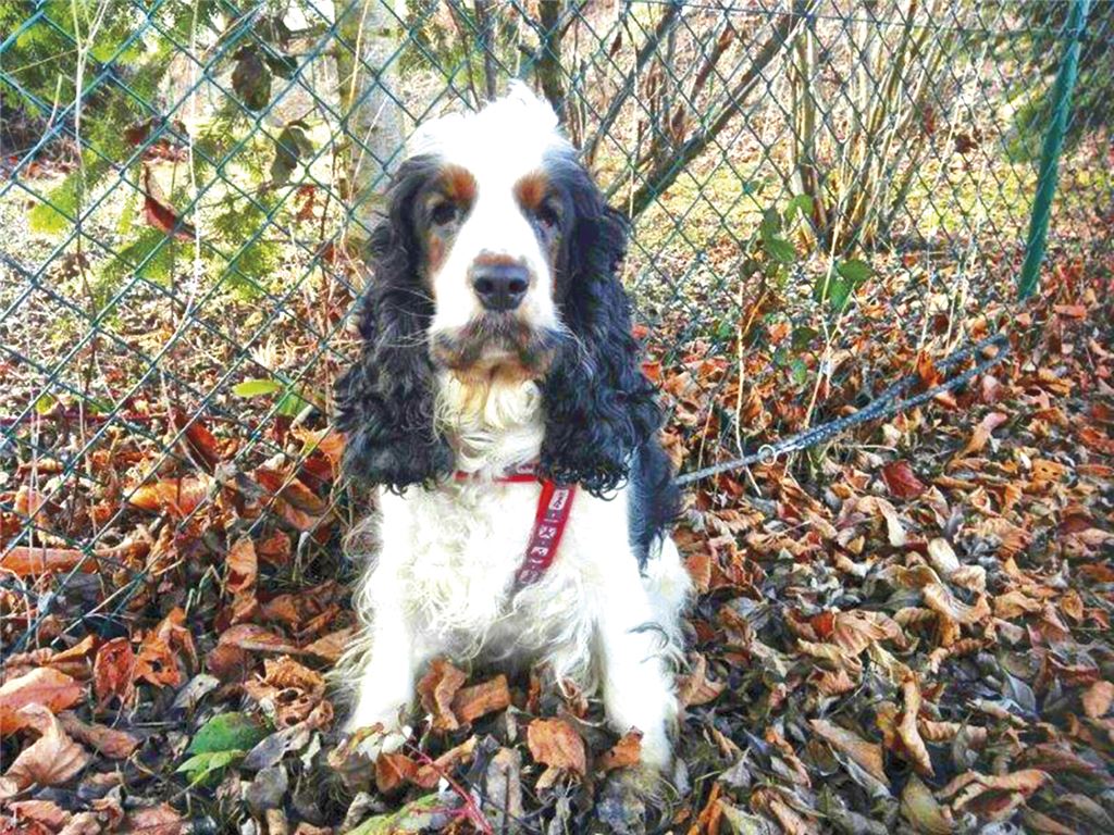 910_0008_126835_b_Lotta_neu_A0004