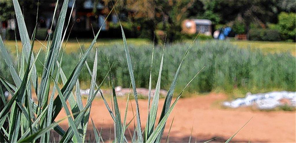 Was lange währt, wird endlich wahr