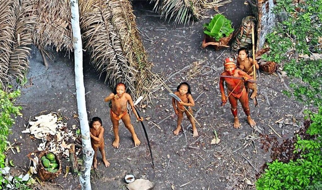 Dieses Foto zeigt fünf Mitglieder einer unkontaktierten indigenen Gruppe, die im Jahr 2008 im brasilianischen Amazonas-Gebiet von einem Flugzeug aufgenommen wurde.