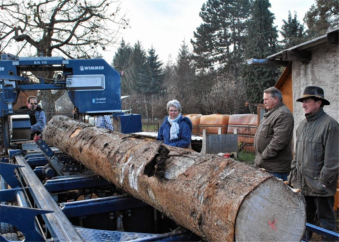 Dieter Bischoff wirft für die Wiernsheimer Gemeinderäte seine mobile Säge an.Foto: Stahlfeld