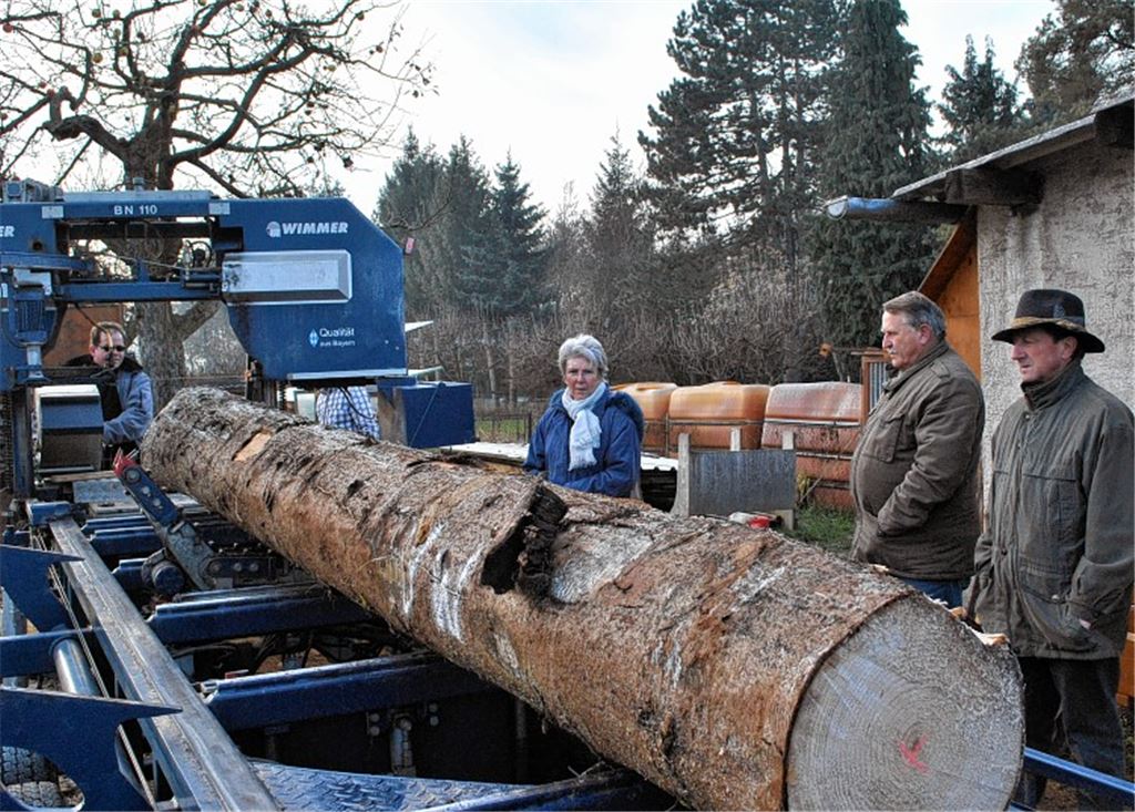 Dieter Bischoff wirft für die Wiernsheimer Gemeinderäte seine mobile Säge an.Foto: Stahlfeld