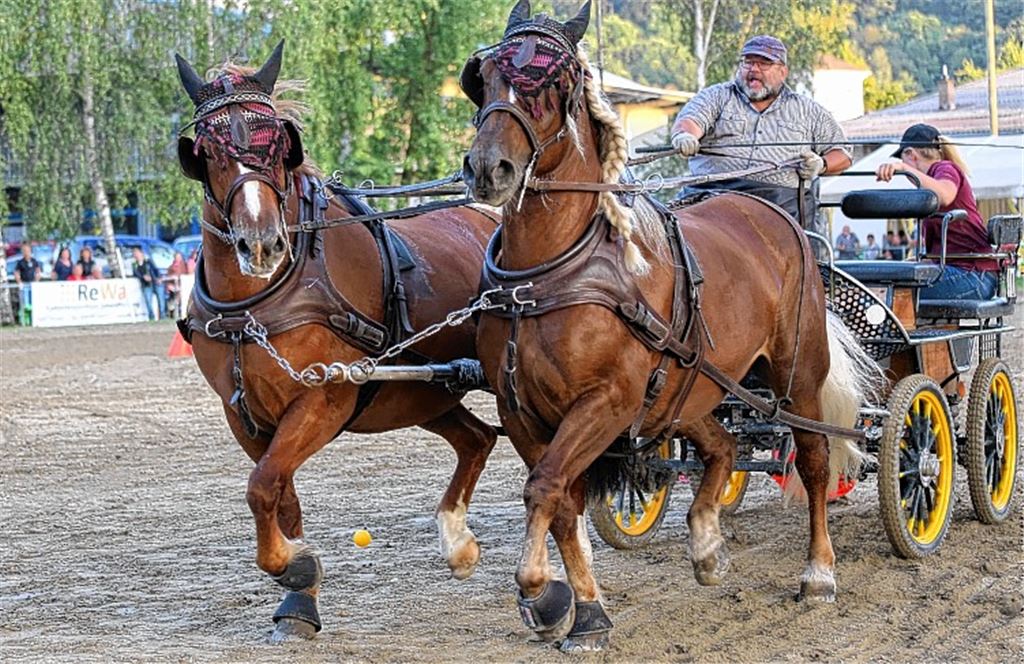 Die Kleinen sind die Größten