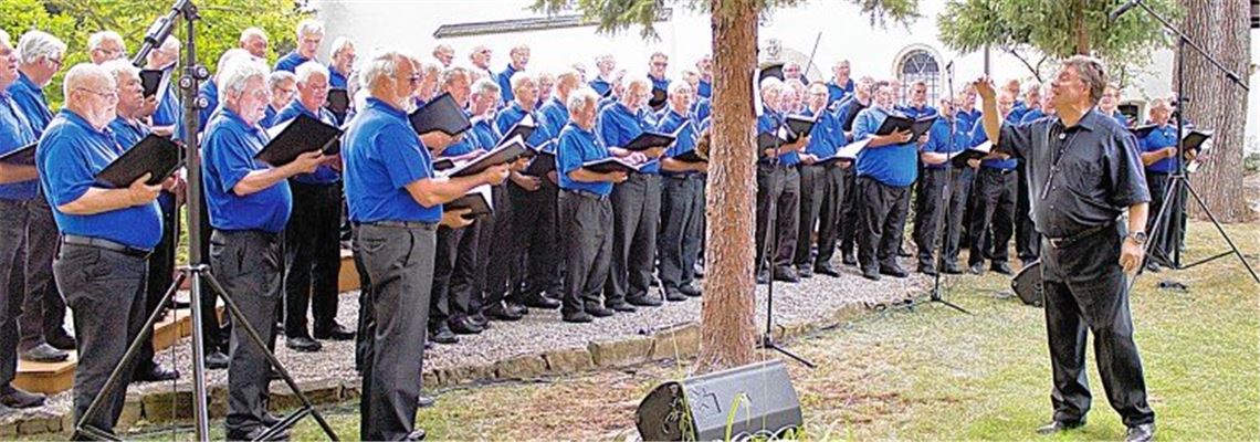 Stimmen und Stimmung stimmen