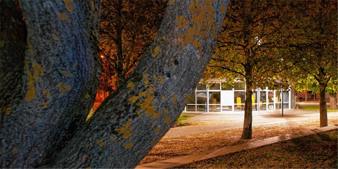 Nächtlicher Angriff gibt Rätsel auf Nächtlicher Angriff gibt Rätsel auf
