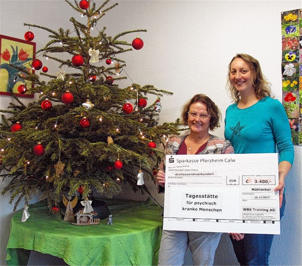 Die kranke Psyche durch Normalität heilen