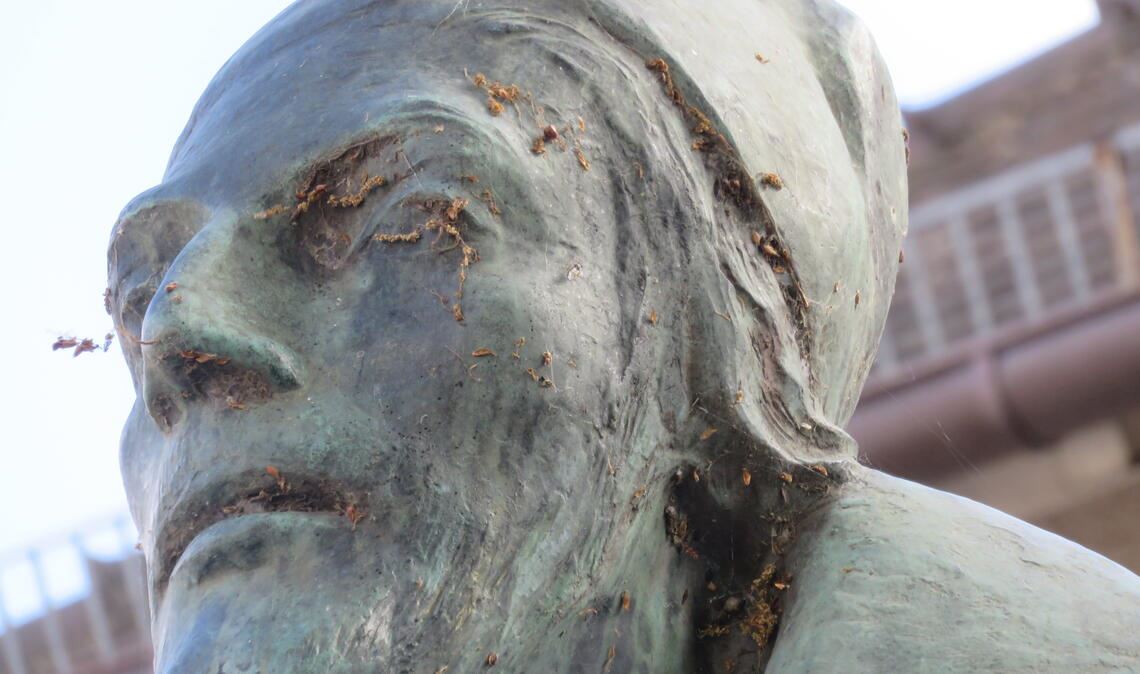 Dr. Faust hätte gerne das Rezept für die Goldherstellung gefunden, das der Stadt Knittlingen jetzt auch aus der Finanzmisere helfen könnte. Doch ganz profan werden nun Steuern und Gebühren erhöht. Archivfoto: Becker