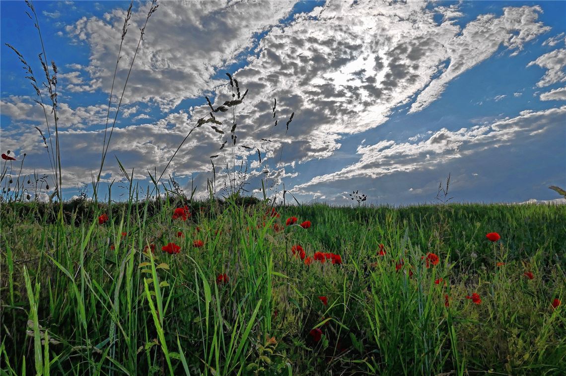 Sommerzeit