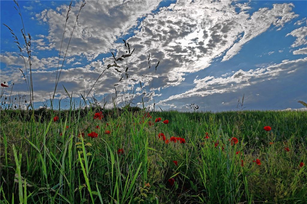 Sommerzeit