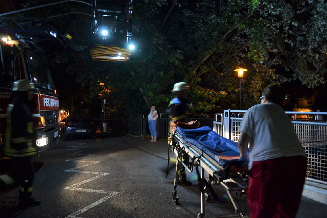 910_0008_133478_myro_Rettungseinsatz_Enz_Pforzheim_3