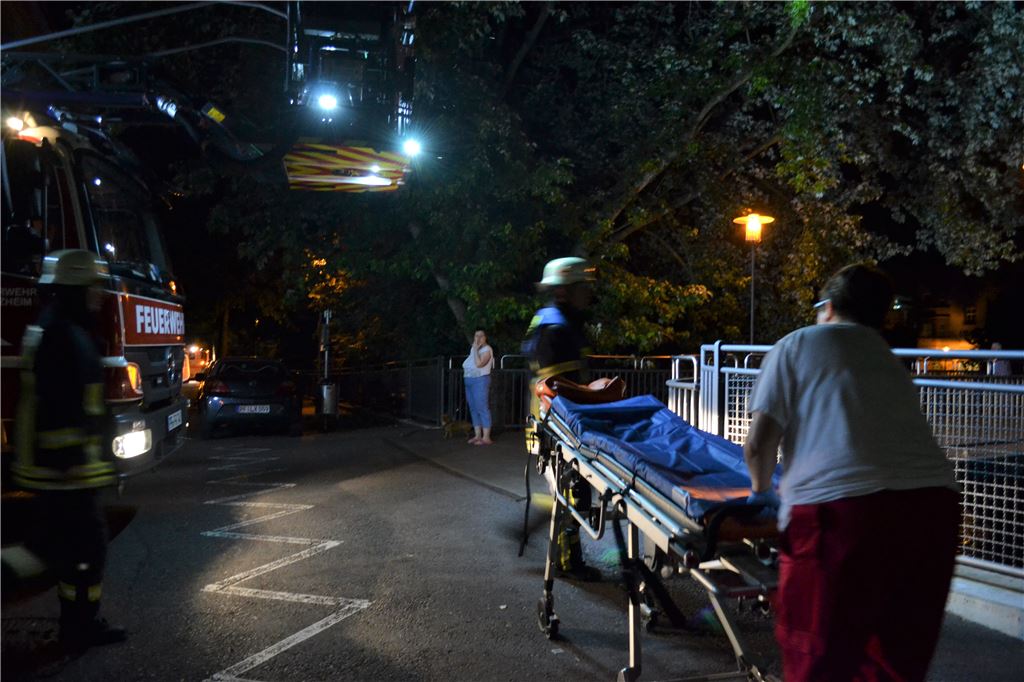 910_0008_133478_myro_Rettungseinsatz_Enz_Pforzheim_3